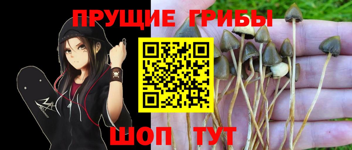 Галлюциногенные грибы ЛСД  Вход с VPN  Минусинск 